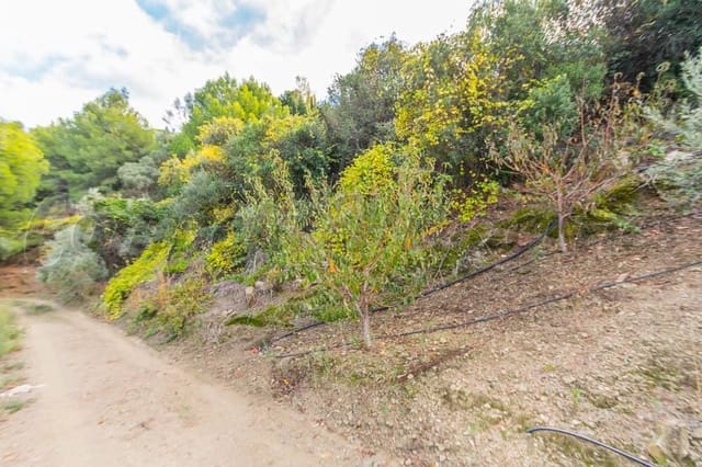 Rakentamaton maa myytävänä paikassa Torrox Pueblo, Torrox - 189 000 € (Ref: 10076001)