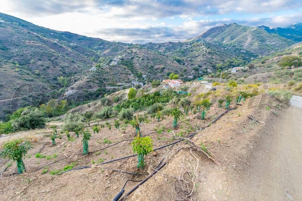 Teren niezagospodarowany na sprzedaż w Torrox - 189 000 € (Ref: 10076001)
