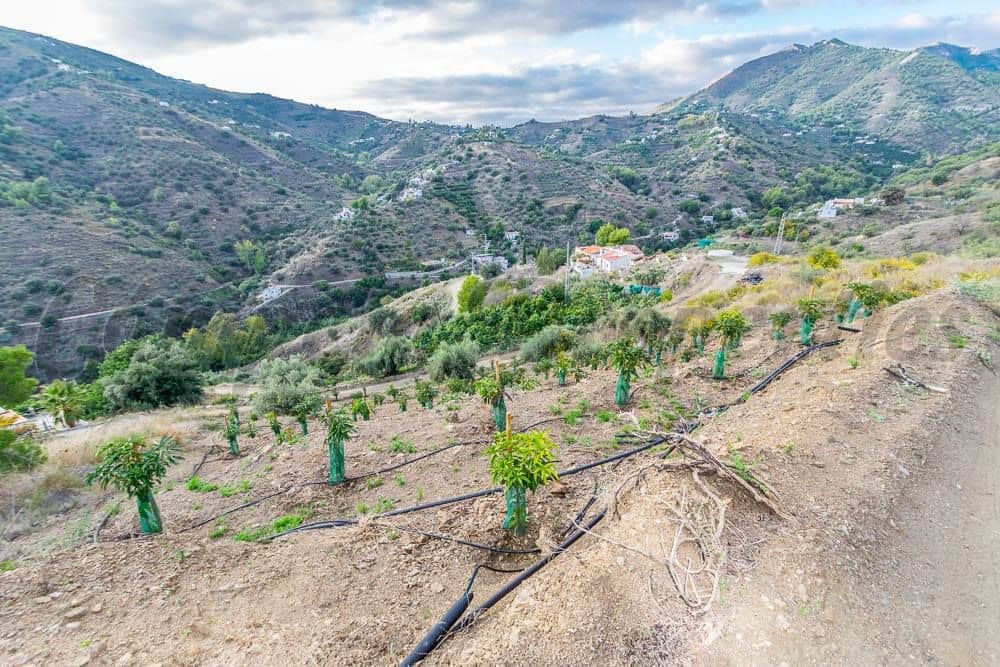 Teren niezagospodarowany na sprzedaż w Torrox - 189 000 € (Ref: 10076001)