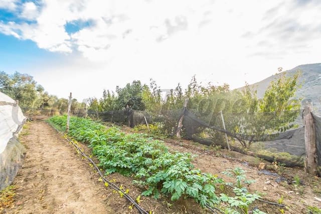 Rakentamaton maa myytävänä paikassa Torrox Pueblo, Torrox - 189 000 € (Ref: 10076001)