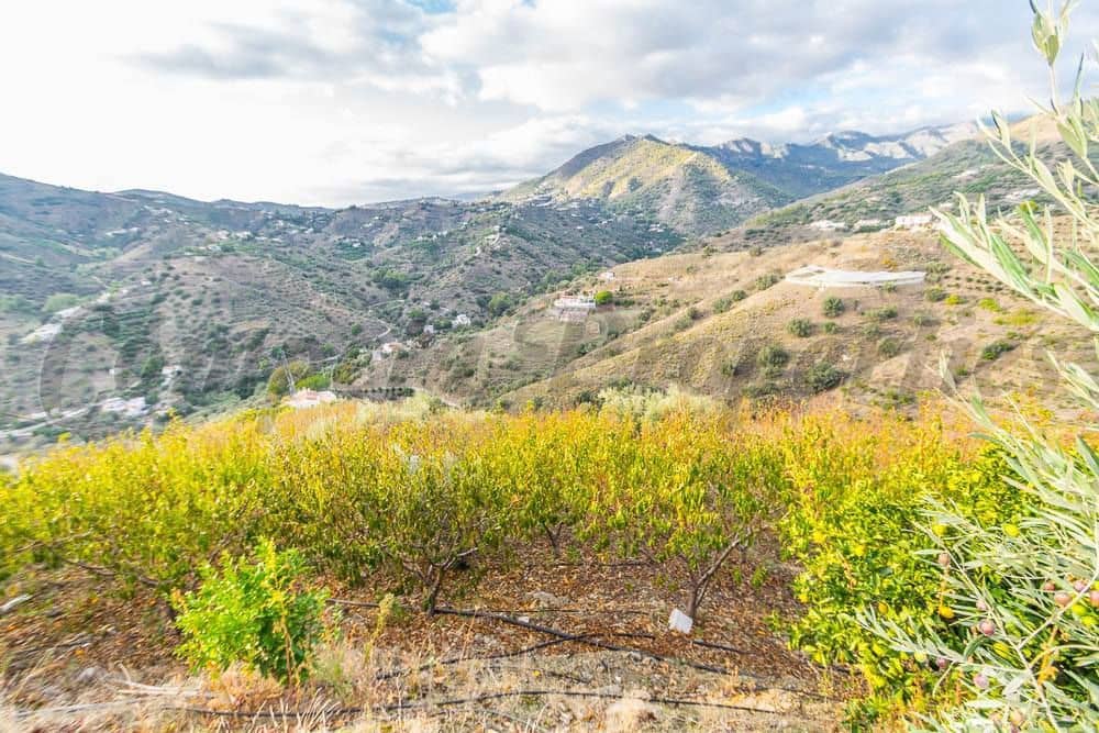Teren niezagospodarowany na sprzedaż w Torrox - 189 000 € (Ref: 10076001)