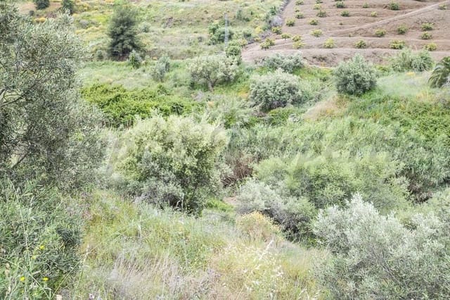 Terreno Não Urbanizado para venda em Torrox Pueblo, Torrox - 75 000 € (Ref: 10076005)