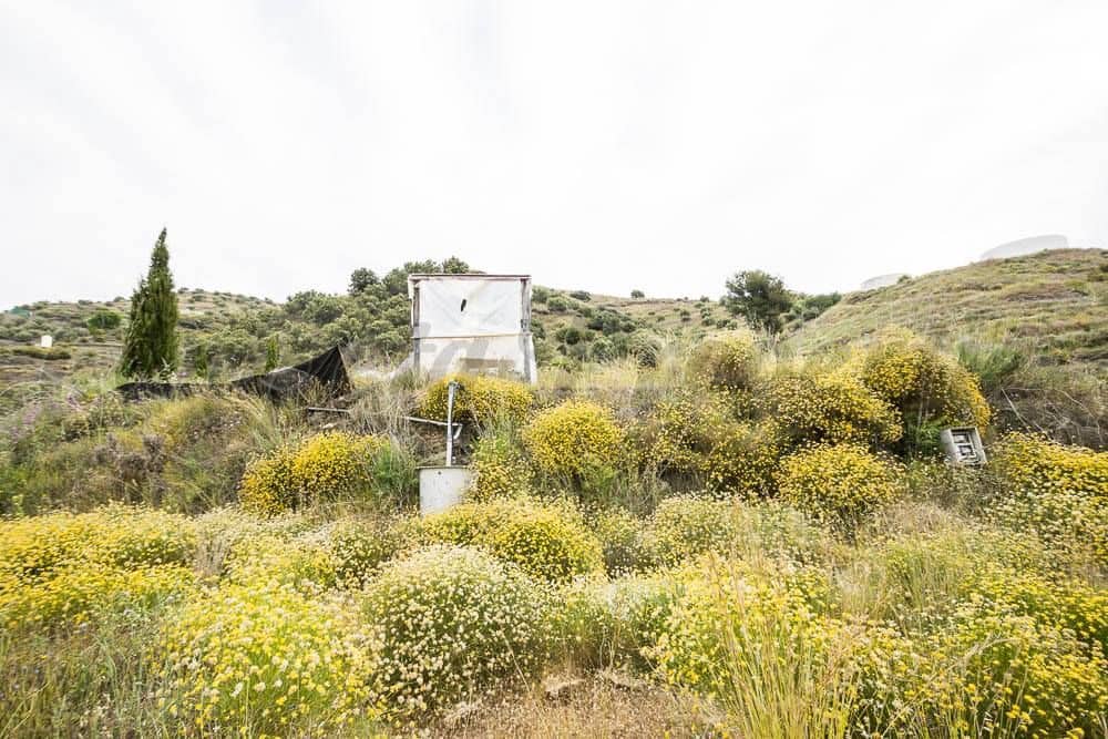 Terreno Não Urbanizado para venda em Torrox - 75 000 € (Ref: 10076005)