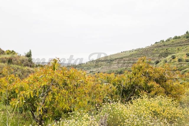 Terreno Não Urbanizado para venda em Torrox Pueblo, Torrox - 75 000 € (Ref: 10076005)
