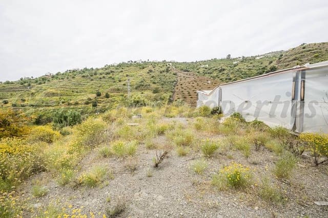 Terreno Não Urbanizado para venda em Torrox Pueblo, Torrox - 75 000 € (Ref: 10076005)