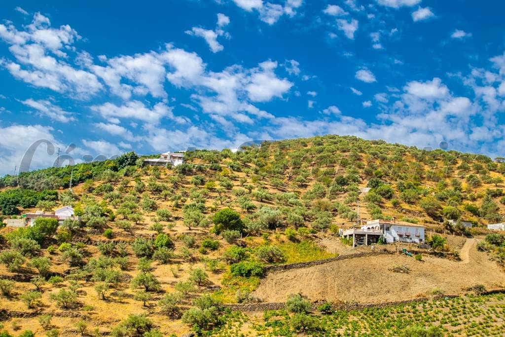 Ubebygd land til salgs i Torrox - € 40 500 (Ref: 10076006)
