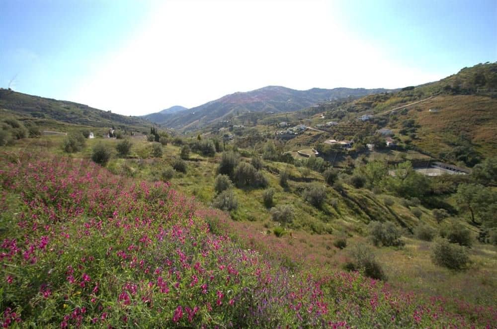 Terre non Aménagée à vendre à Competa - 58 000 € (Ref: 10076010)