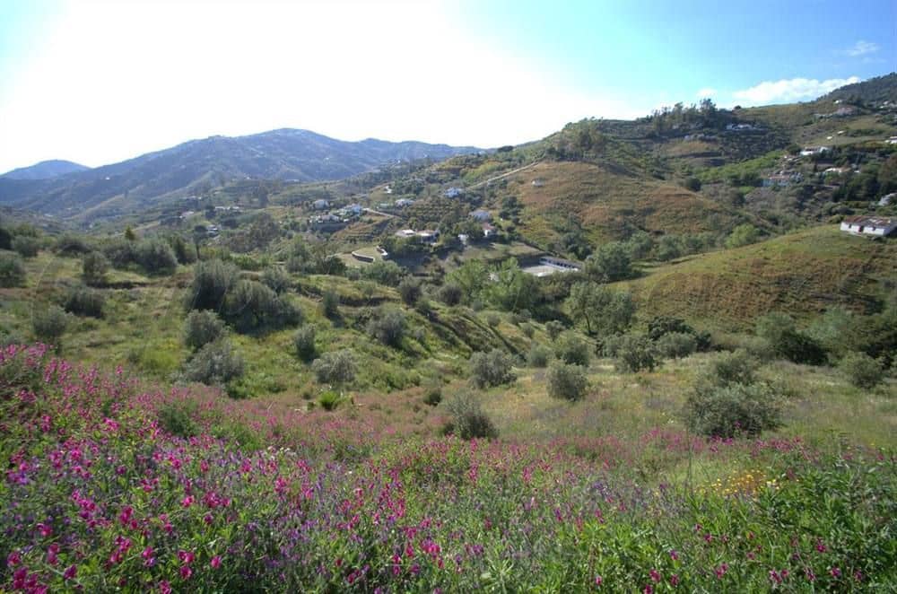 Terre non Aménagée à vendre à Competa - 58 000 € (Ref: 10076010)