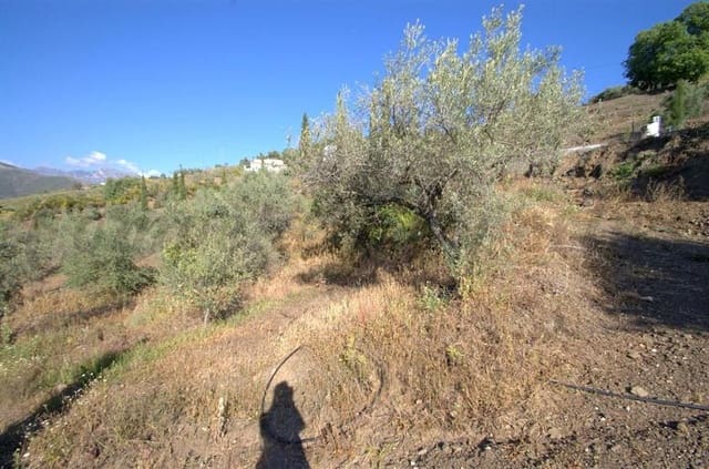 Undeveloped Land for sale in Cómpeta - € 46,000 (Ref: 10076011)