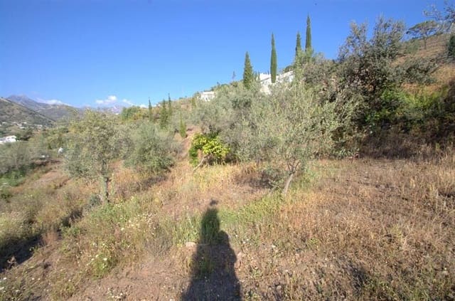 Undeveloped Land for sale in Cómpeta - € 46,000 (Ref: 10076011)