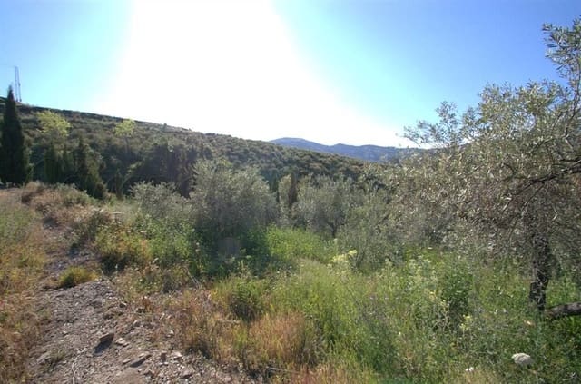 Undeveloped Land for sale in Cómpeta - € 46,000 (Ref: 10076011)