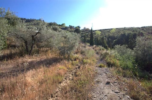 Undeveloped Land for sale in Cómpeta - € 46,000 (Ref: 10076011)