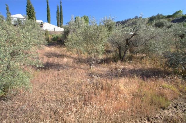 Undeveloped Land for sale in Cómpeta - € 46,000 (Ref: 10076011)