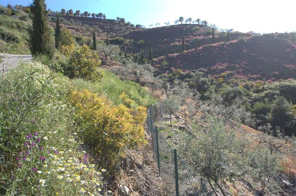 Landgrundstück zu verkaufen in Competa - 46.000 € (Ref: 10076014)