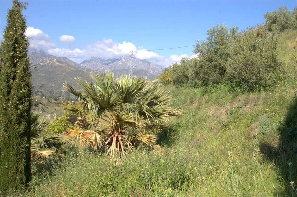 Landgrundstück zu verkaufen in Competa - 46.000 € (Ref: 10076014)