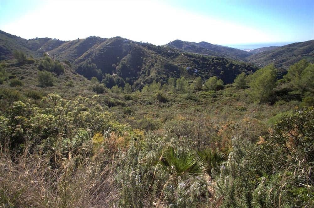 Terreno Non Edificato in vendita in Competa - 159.000 € (Rif: 10076020)