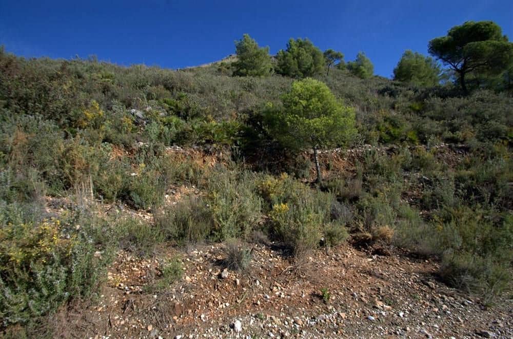Terreno Non Edificato in vendita in Competa - 159.000 € (Rif: 10076020)
