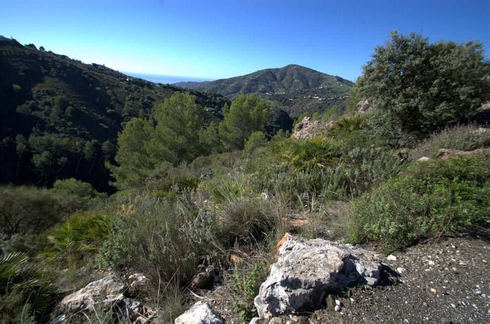 Terreno Non Edificato in vendita in Competa - 159.000 € (Rif: 10076020)