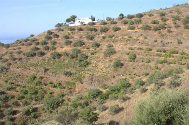 Terre non Aménagée à vendre à Torrox Pueblo, Torrox - 240 000 € (Ref: 10076022)