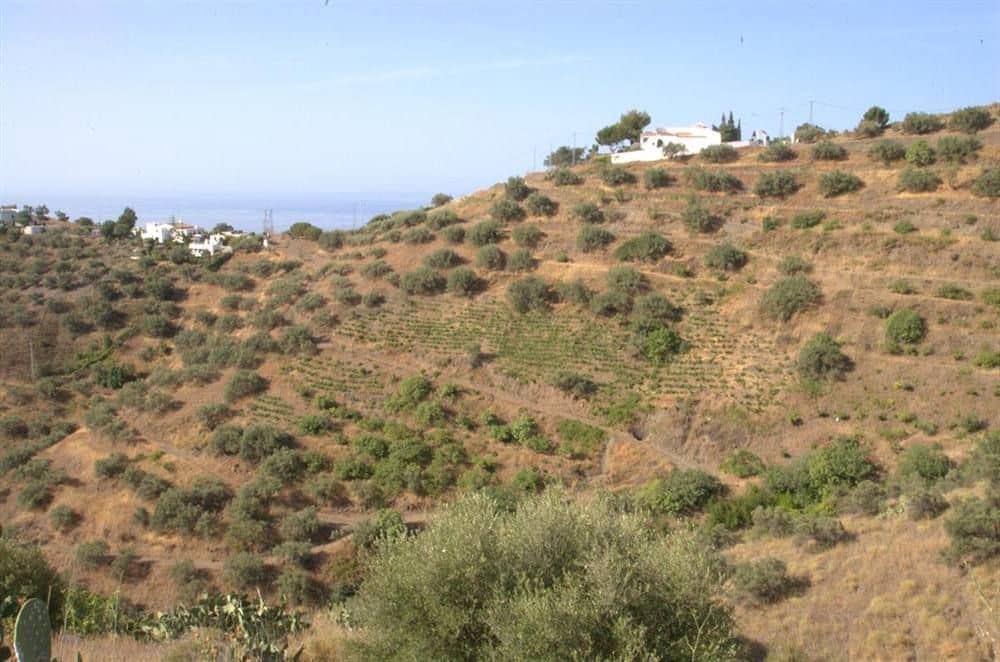 Grunde uden byggetilladelser til salg i Torrox - € 240.000 (Ref: 10076022)