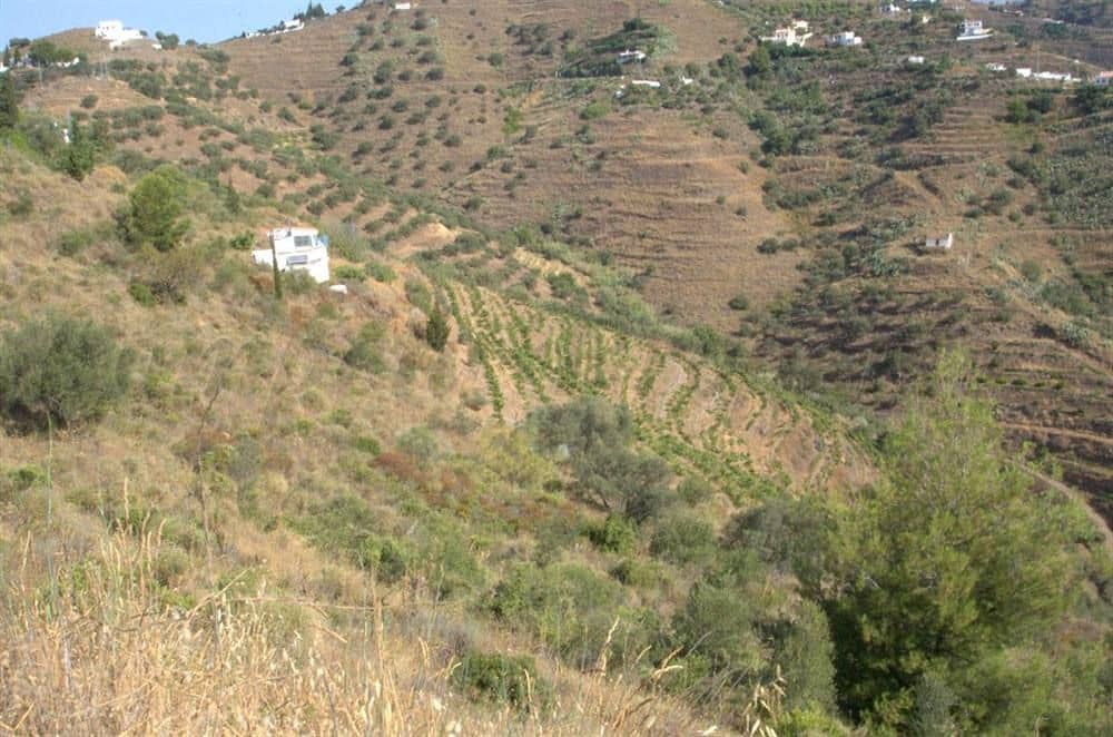 Grunde uden byggetilladelser til salg i Torrox - € 240.000 (Ref: 10076022)