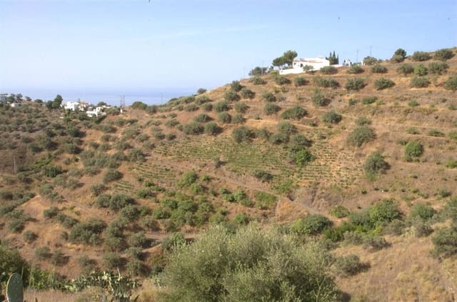 Terre non Aménagée à vendre à Torrox Pueblo, Torrox - 240 000 € (Ref: 10076022)