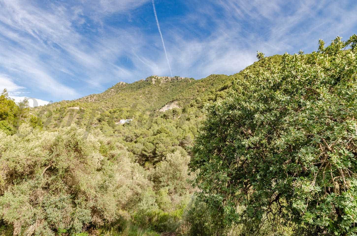 2 Zimmer Finca/Landgut zu verkaufen in Competa mit Pool - 245.000 € (Ref: 10076027)