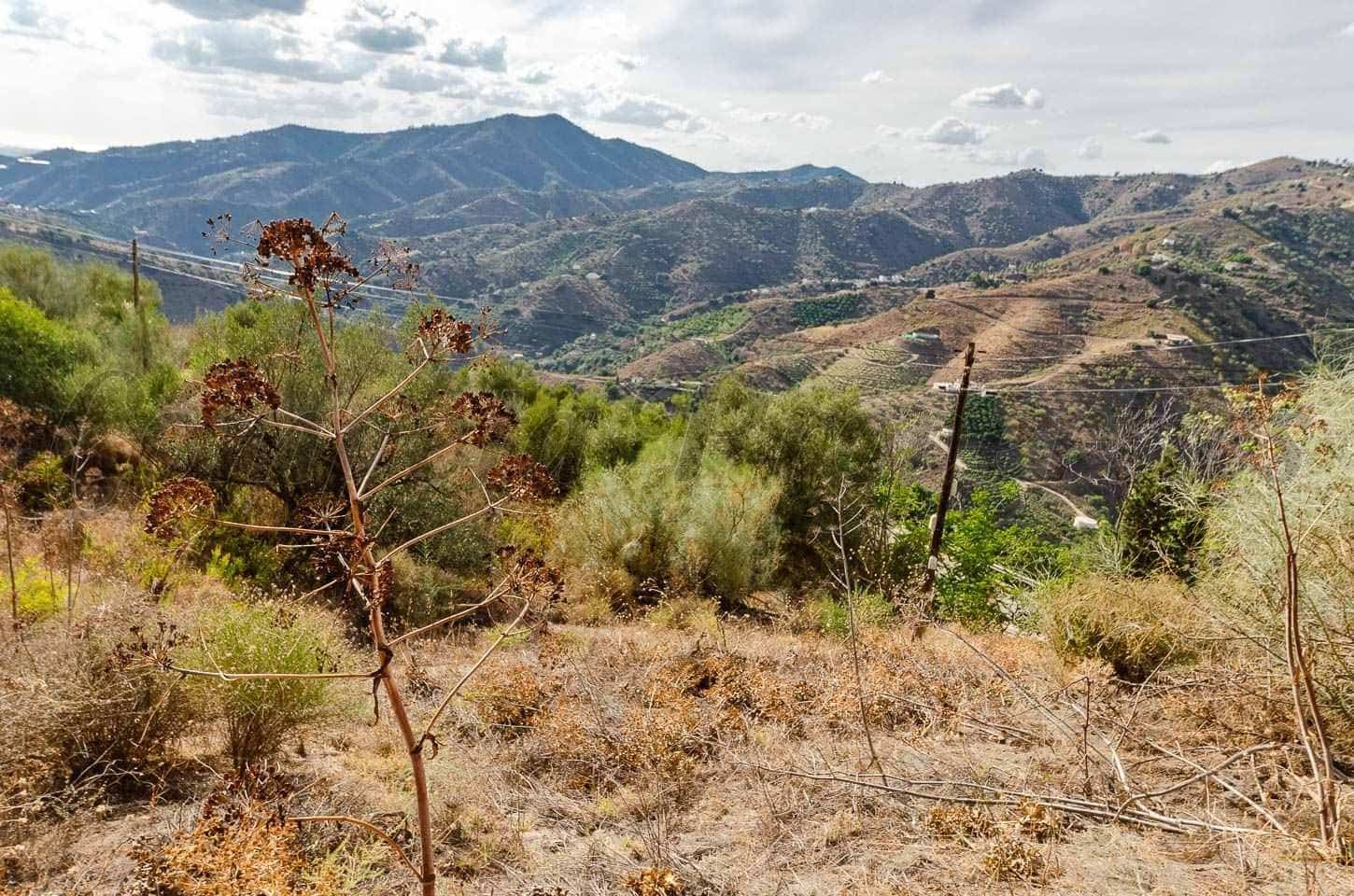 Undeveloped Land for sale in Sayalonga - € 94,000 (Ref: 10076030)