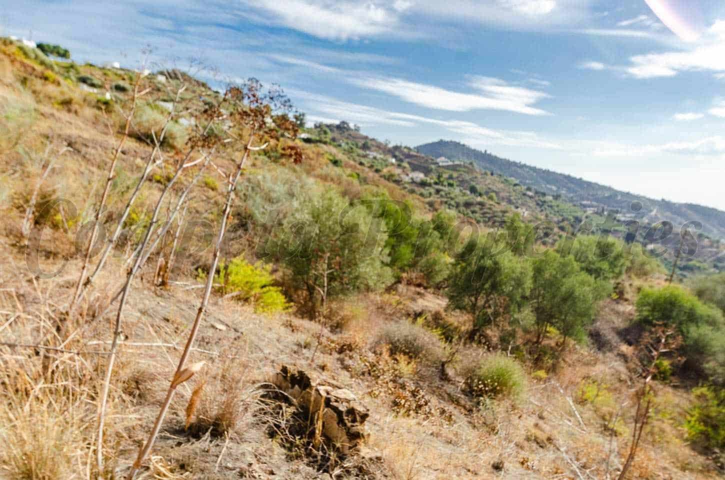 Undeveloped Land for sale in Sayalonga - € 94,000 (Ref: 10076030)