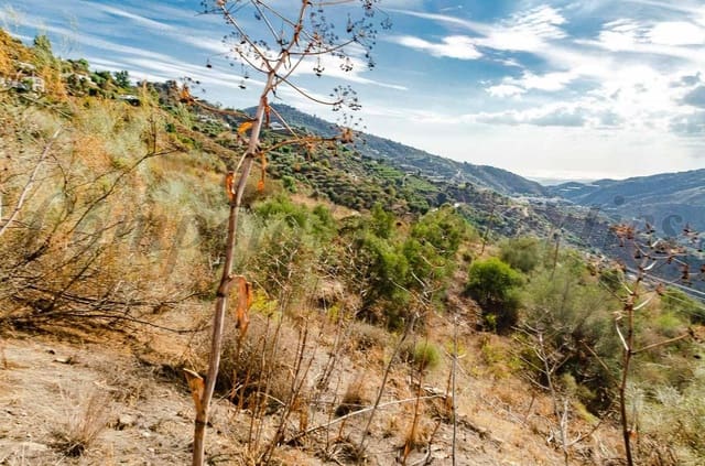 Undeveloped Land for sale in Sayalonga - € 94,000 (Ref: 10076030)
