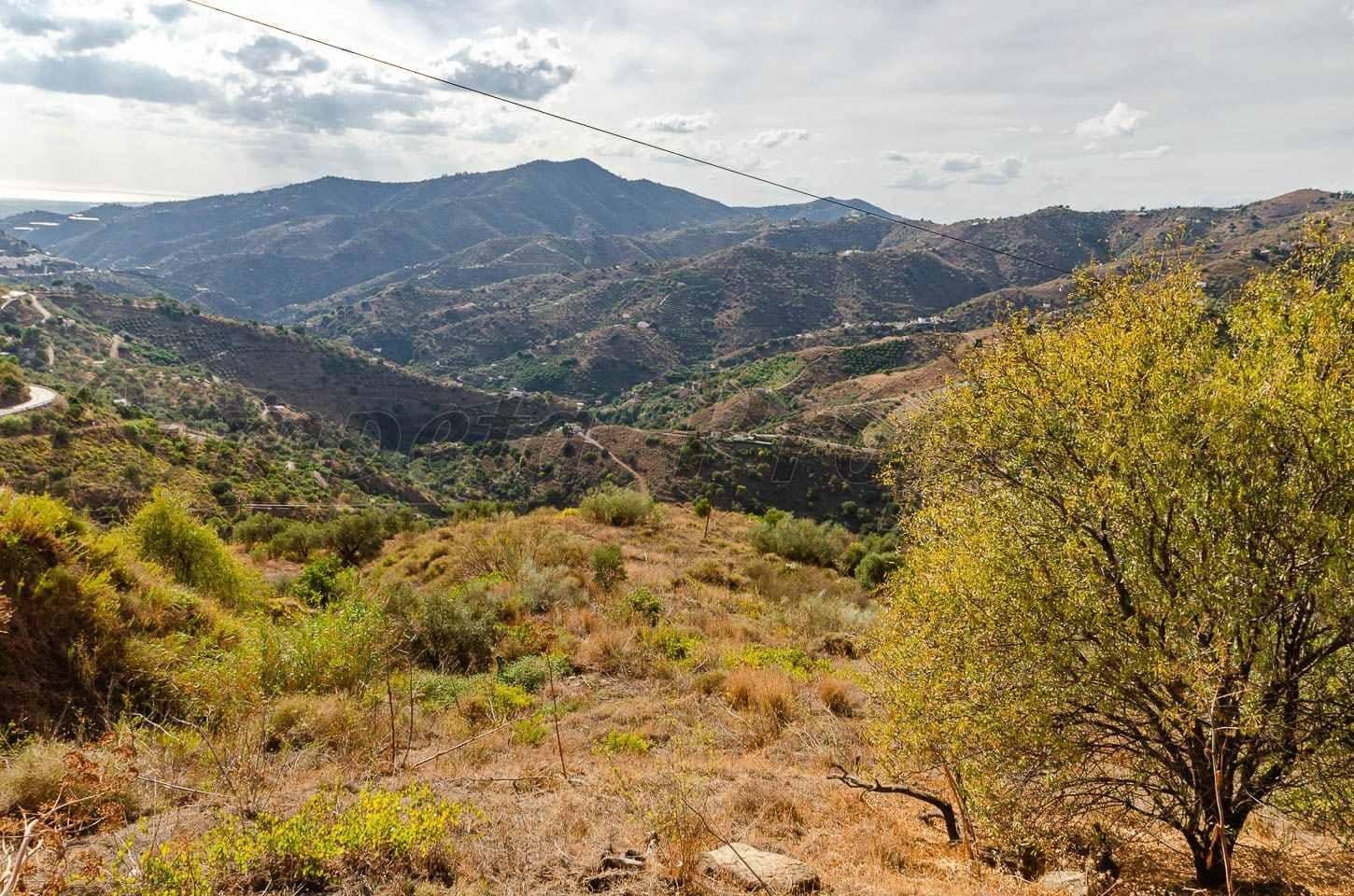 Undeveloped Land for sale in Sayalonga - € 94,000 (Ref: 10076030)