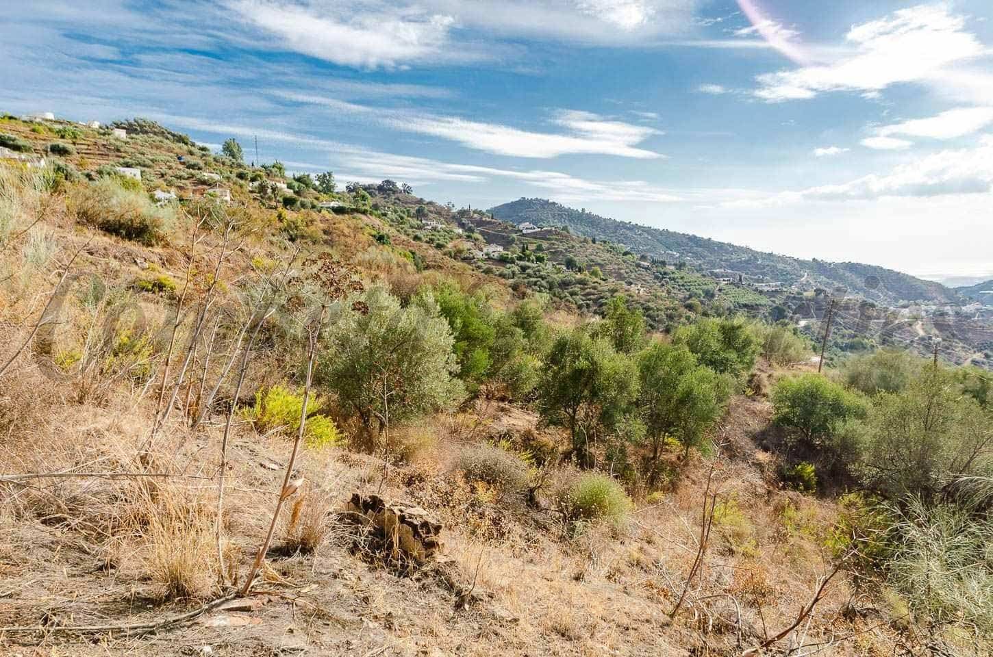 Undeveloped Land for sale in Sayalonga - € 94,000 (Ref: 10076030)