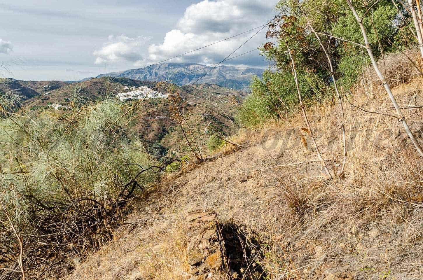 Undeveloped Land for sale in Sayalonga - € 94,000 (Ref: 10076030)