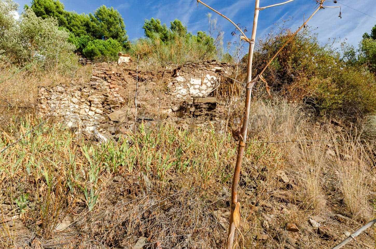 Undeveloped Land for sale in Sayalonga - € 94,000 (Ref: 10076030)