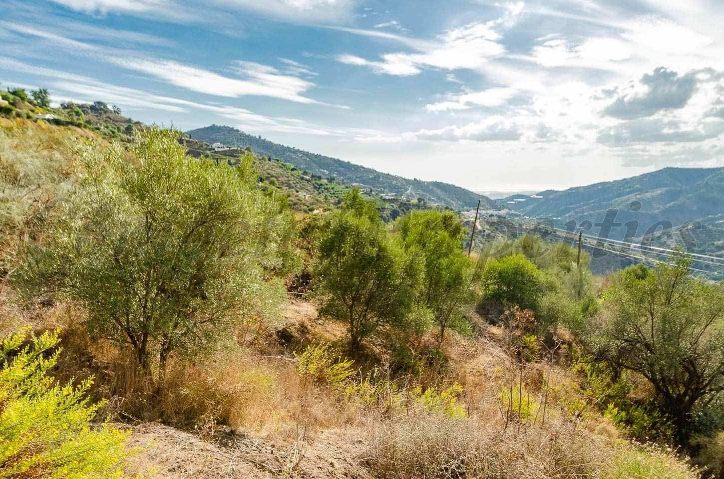 Undeveloped Land for sale in Sayalonga - € 94,000 (Ref: 10076030)