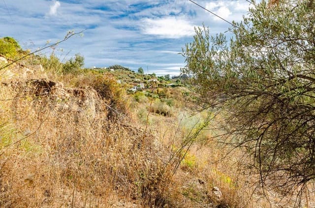 Undeveloped Land for sale in Sayalonga - € 94,000 (Ref: 10076030)