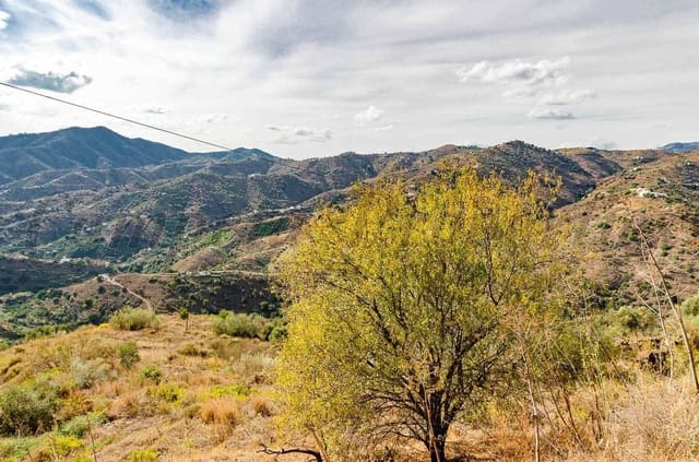 Undeveloped Land for sale in Sayalonga - € 94,000 (Ref: 10076030)