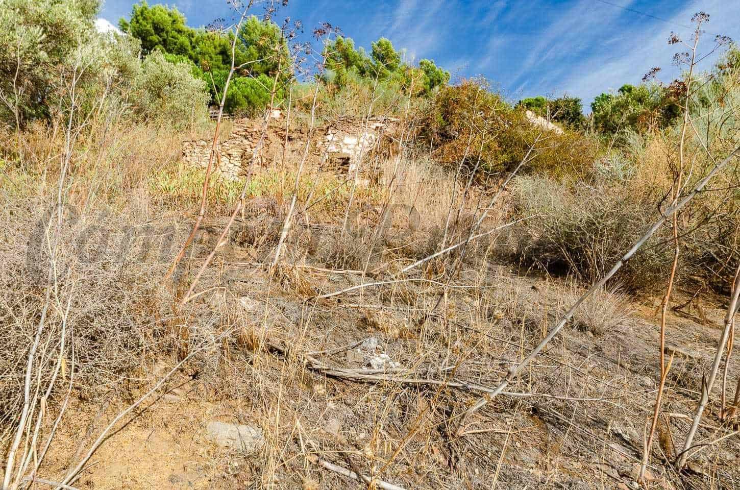 Undeveloped Land for sale in Sayalonga - € 94,000 (Ref: 10076030)