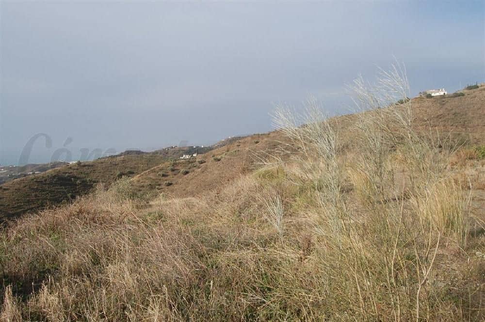 Grunde uden byggetilladelser til salg i Sayalonga - € 84.000 (Ref: 10076066)