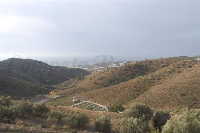 Terreno Não Urbanizado para venda em Sayalonga - 84 000 € (Ref: 10076066)