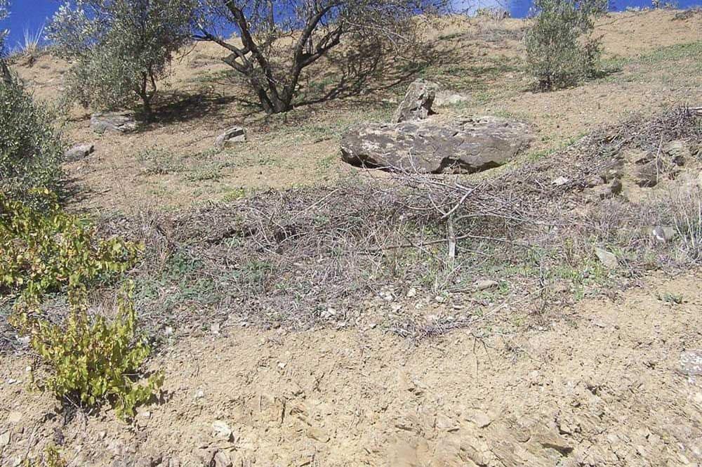 Ubebygd land til salgs i Archez - € 59 000 (Ref: 10076067)