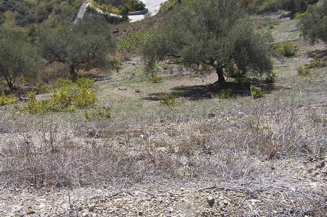 Grunde uden byggetilladelser til salg i Archez - € 59.000 (Ref: 10076067)