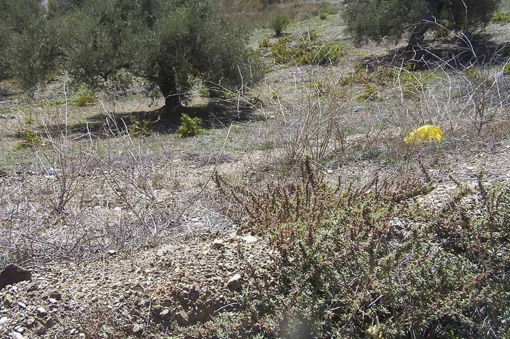 Ubebygd land til salgs i Archez - € 59 000 (Ref: 10076067)