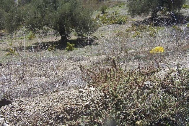 Grunde uden byggetilladelser til salg i Archez - € 59.000 (Ref: 10076067)