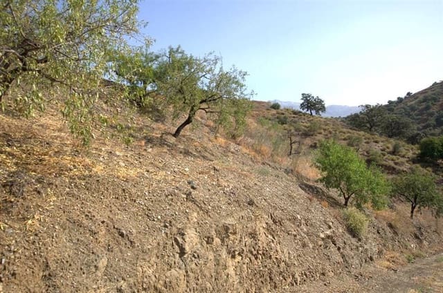 Grunde uden byggetilladelser til salg i Sedella - € 32.000 (Ref: 10076070)