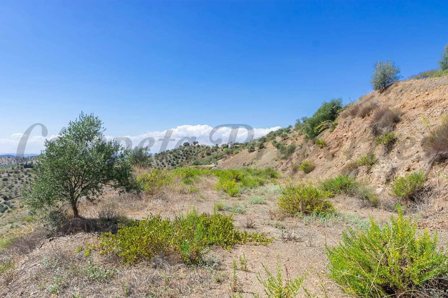 Undeveloped Land for sale in Canillas de Albaida - € 36,000 (Ref: 10076071)