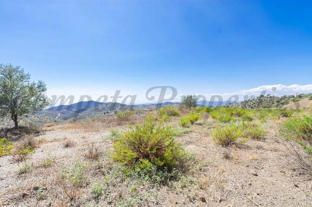 Landgrundstück zu verkaufen in Canillas de Albaida - 36.000 € (Ref: 10076071)