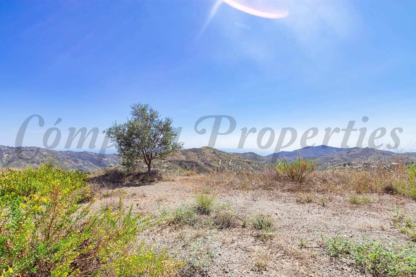 Undeveloped Land for sale in Canillas de Albaida - € 36,000 (Ref: 10076071)