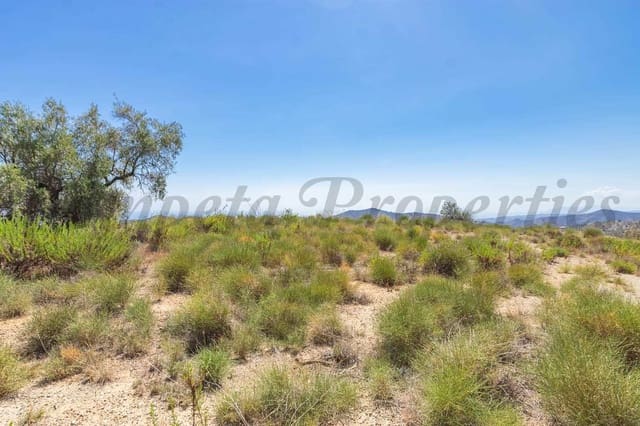 Undeveloped Land for sale in Canillas de Albaida - € 56,000 (Ref: 10076072)
