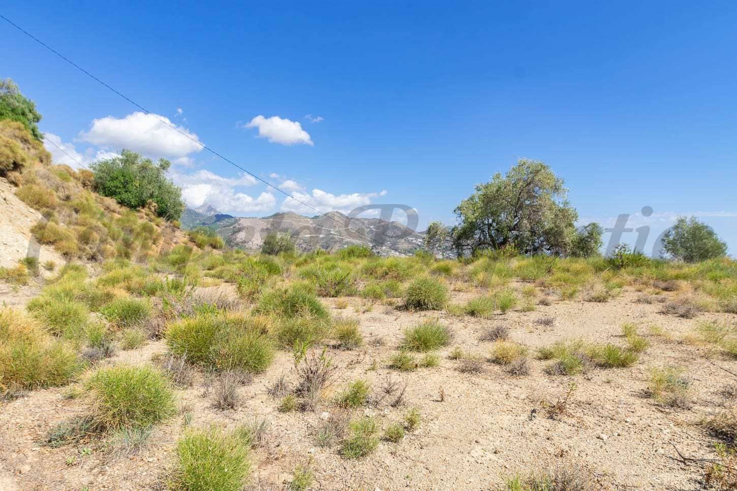 Undeveloped Land for sale in Canillas de Albaida - € 56,000 (Ref: 10076072)